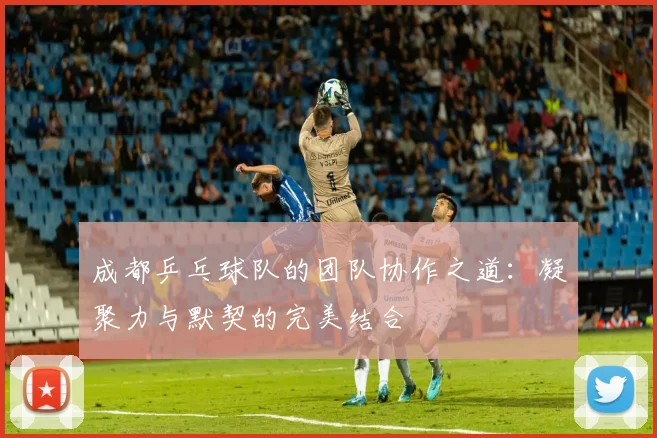 成都乒乓球队的团队协作之道：凝聚力与默契的完美结合