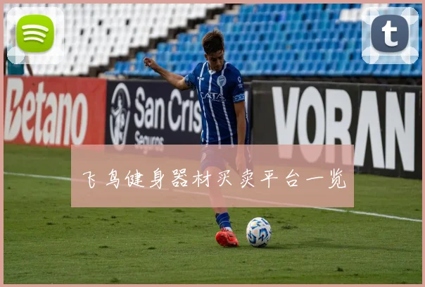 飞鸟健身器材买卖平台一览